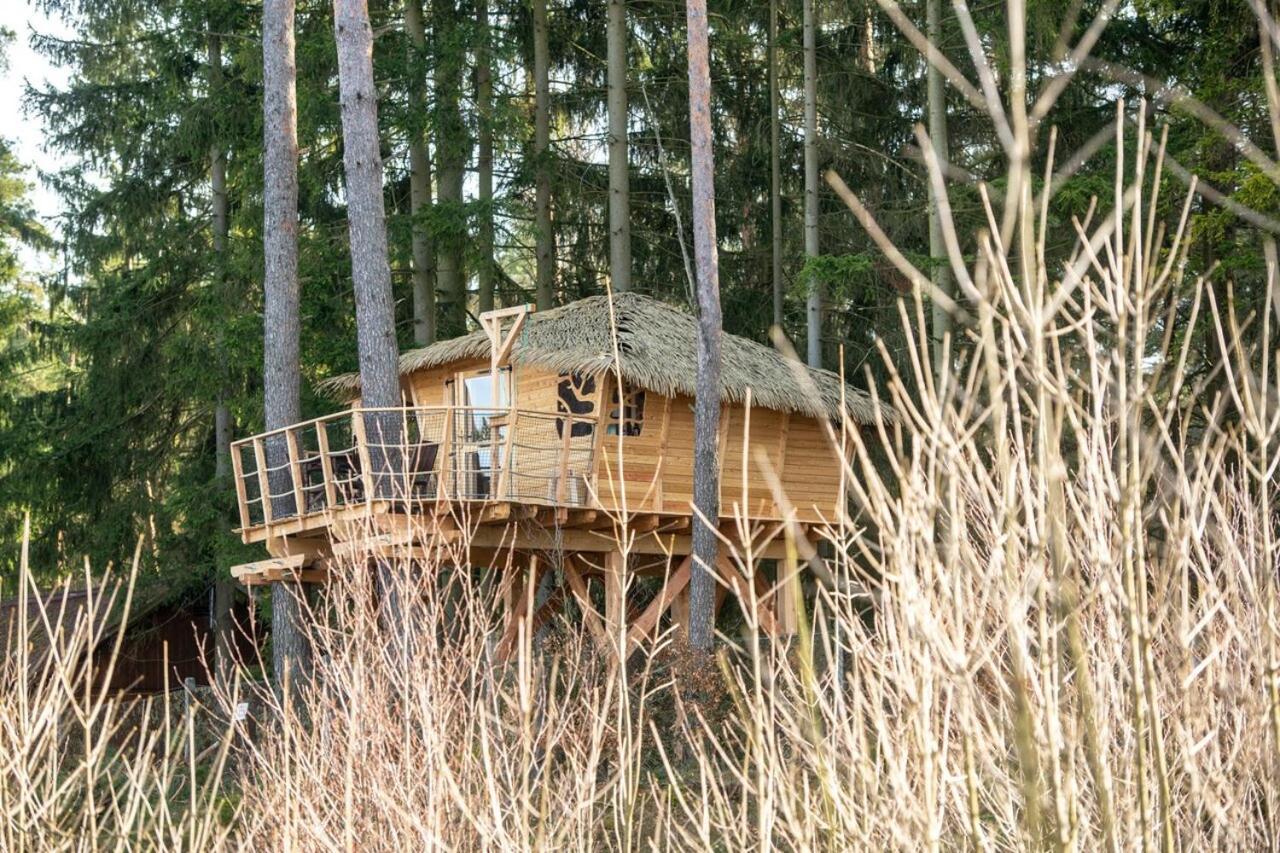 Treehouse U Rybnika Otel Osecna Dış mekan fotoğraf